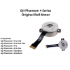 Dji Phantom 4 Roll Motor